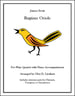 Ragtime Oriole